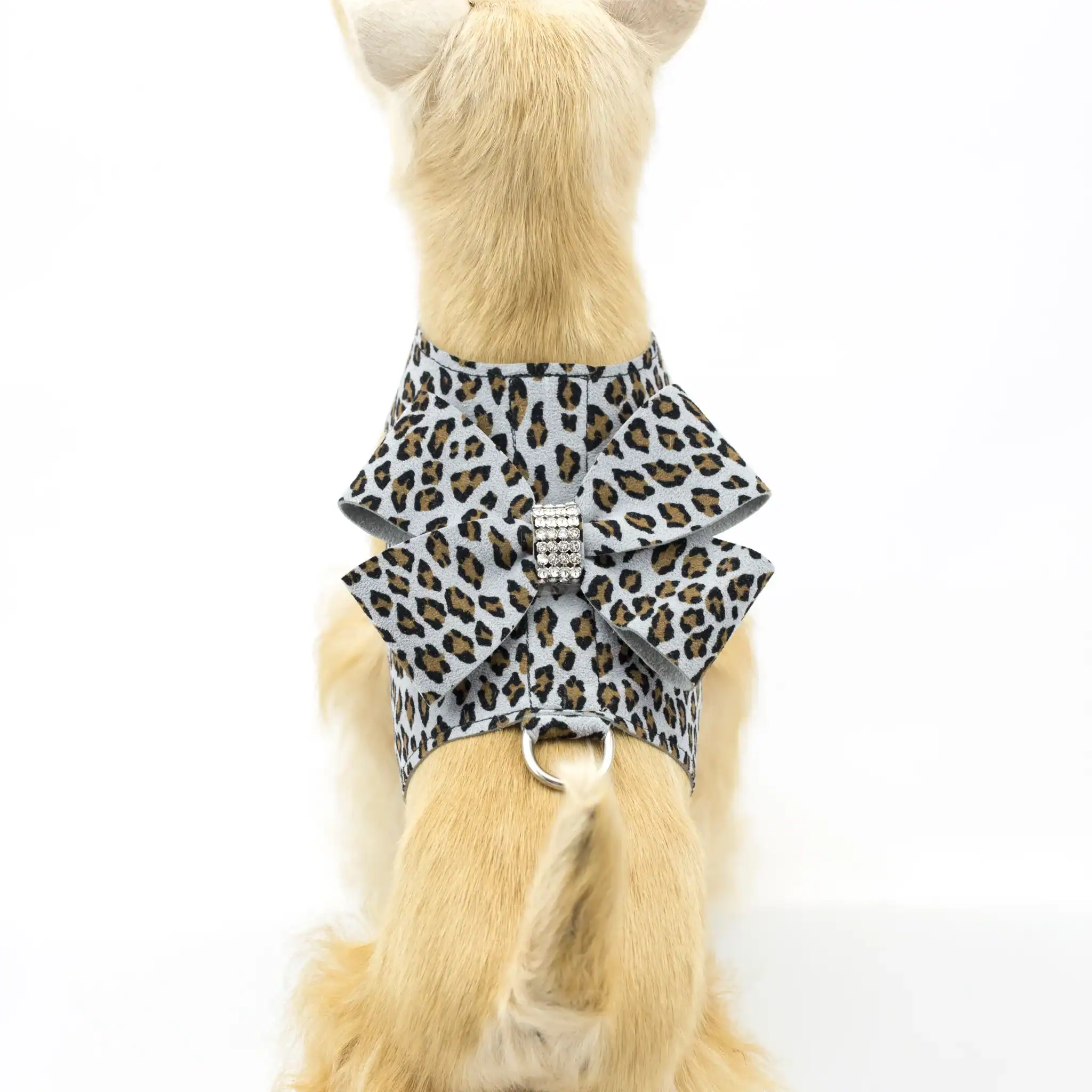 Nouveau Bow Tinkie Harness in jungle prints by Susan Lanci Designs at Paws With Fashion