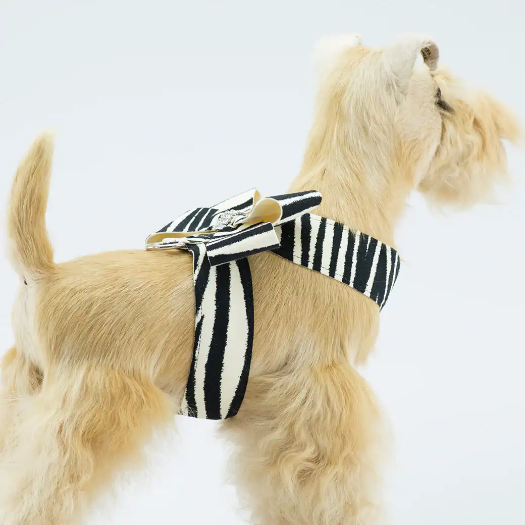 Nouveau Bow Tinkie Harness in jungle prints by Susan Lanci Designs at Paws With Fashion