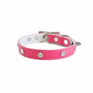 Buddy Belt Leather ID Collars