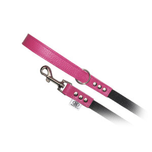 buddy belt nylon accent leashes