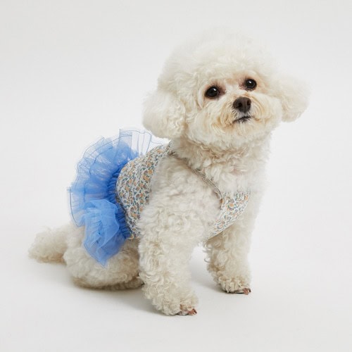 Iris Tutu Top by Louisdog at PawswithFashion.com