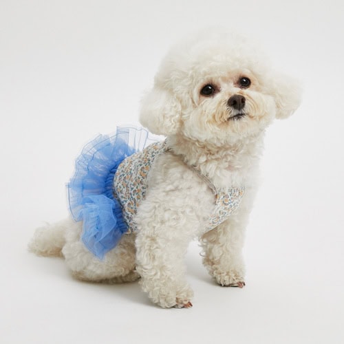 Iris Tutu Top by Louisdog at PawswithFashion.com