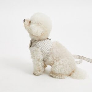 Walk With Me in Sand Stone by Louisdog