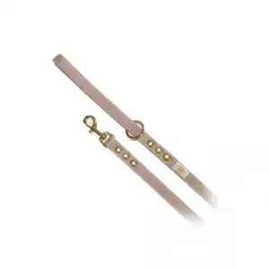 Buddy Belts All Leather Leashes in latte