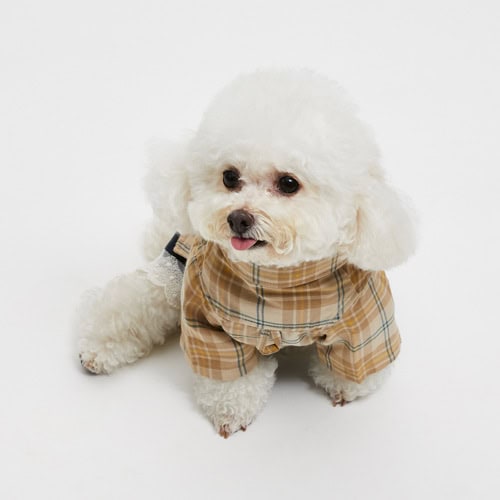 Louisdog Classy Plaid Shirt Dress