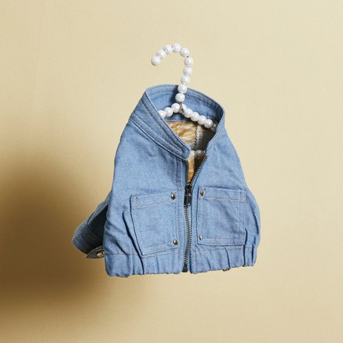Louisdog Organic Denim Jacket