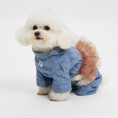 Cute white poodle dressed in denim overalls with a ruffled pink skirt, showcasing stylish pet fashion outfits from Paws With Fashion.