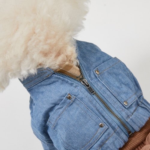 A cute dog dressed in a denim jacket featuring a zipper and pockets, showcasing stylish pet apparel from Paws With Fashion.
