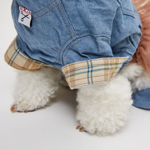 Paws With Fashion dog in stylish denim jacket with plaid trim, showcasing trendy pet clothing for small dogs and fashionable pet accessories.