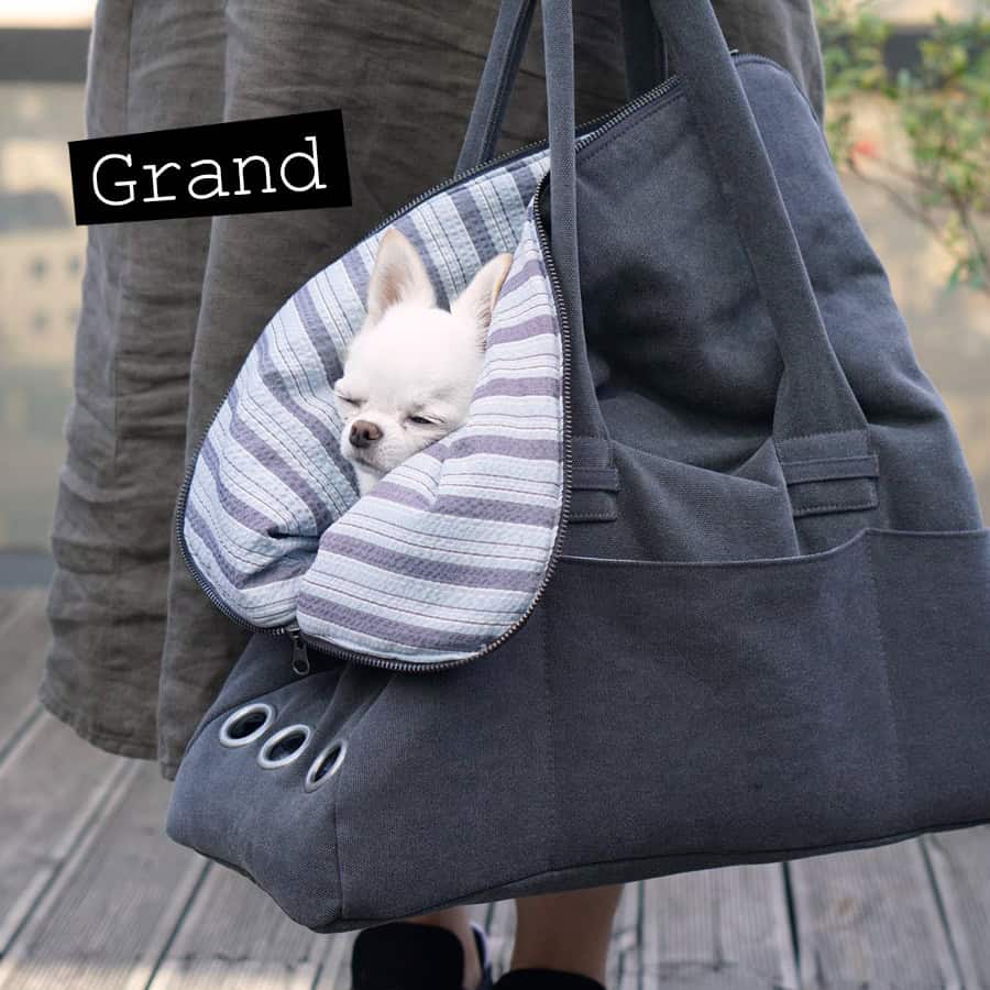 Louisdog Greg Bag in Seersucker