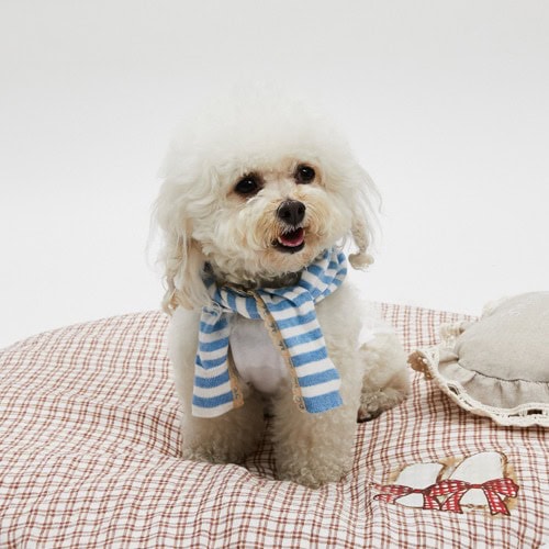 Cardie Scarf in Bluebell by Louisdog