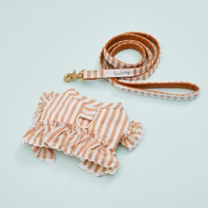 Walk With Me in La Seta by Louisdog