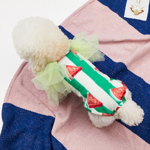 Louisdog Pool Club/ Watermelon Bodysuit