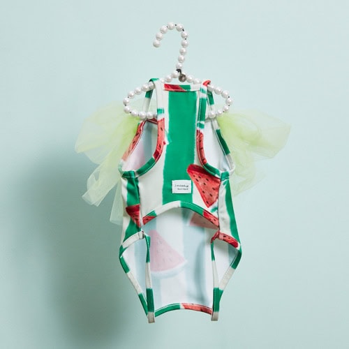 Louisdog Pool Club/ Watermelon Bodysuit