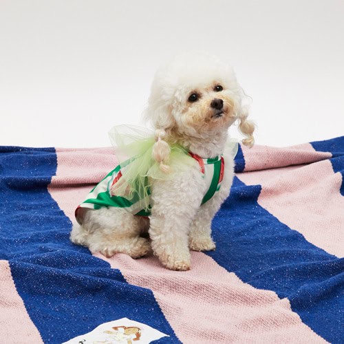 Louisdog Pool Club/ Watermelon Bodysuit