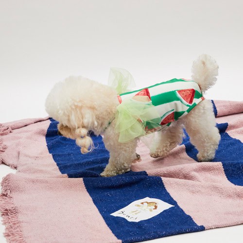 Louisdog Pool Club/ Watermelon Bodysuit