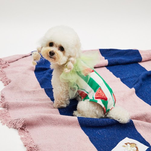 Louisdog Pool Club/ Watermelon Bodysuit