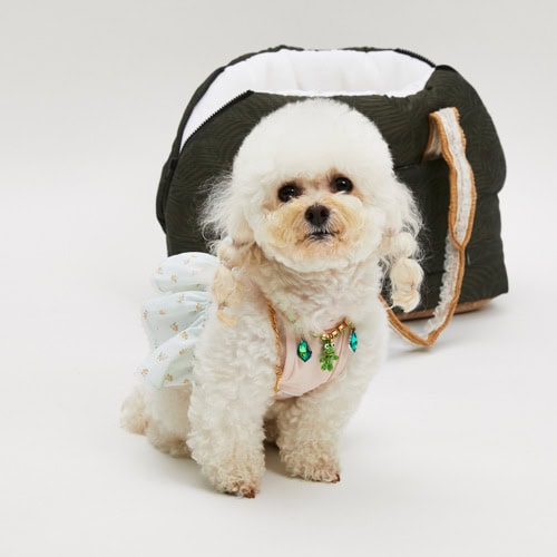 Pool Club / Watermelon Monokini by Louisdog