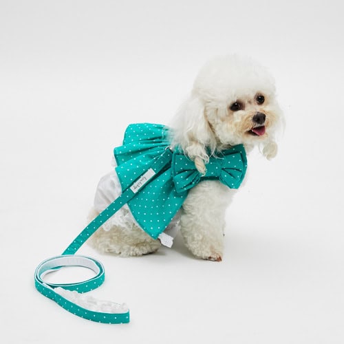 Walk With Me in Dots Garden by Louisdog