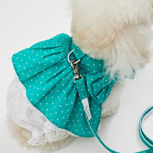 Walk With Me in Dots Garden by Louisdog