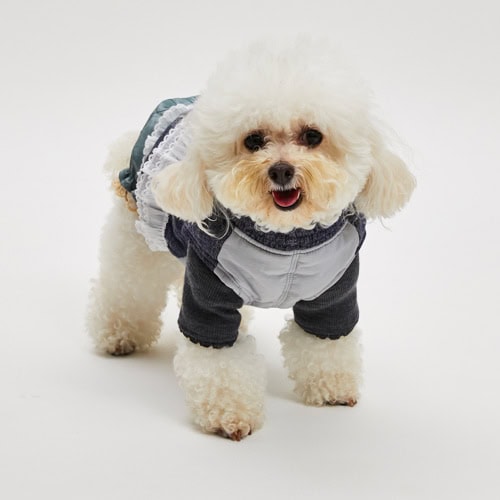 Denim ToGO Bomber Jacket