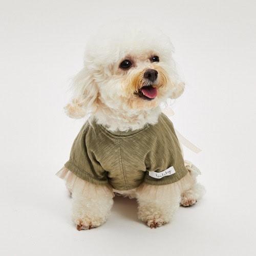 Popsicle POP Tee by Louisdog