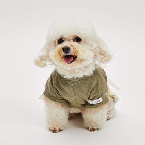 Popsicle POP Tee by Louisdog