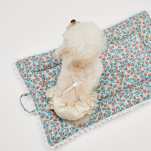 Popsicle POP Tee by Louisdog