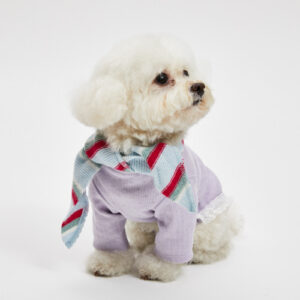 Sophie Cashmere Scarf by Louisdog luxury cashmere dog scarf with lace detail
