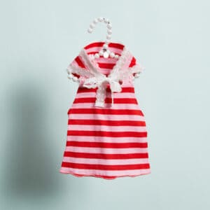 Louisdog Cherry Swing TEE and Scarf striped dog outfit