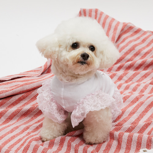 Fluffy Sketch TEE by Louisdog goose print designer dog t-shirt with pink lace