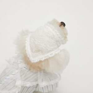 The Mellow Lace Scarf by Louisdog features elegant floral lace, a lightweight triangle silhouette, and timeless romantic style for fashionable dogs.