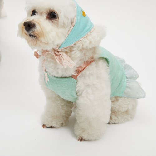 Mint Breeze TEE & Scarf by Louisdog designer dog tee with embroidered scarf