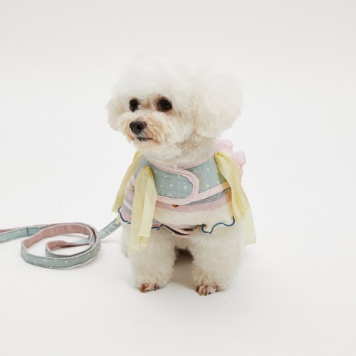 Louisdog Rosset Lace dog harness and matching leash in blue and pink