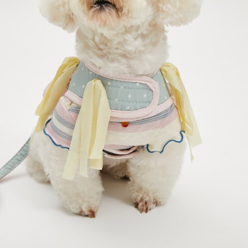 Louisdog Rosset Lace dog harness and matching leash in blue and pink