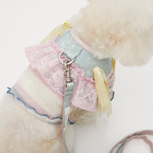 Louisdog Rosset Lace dog harness and matching leash in blue and pink