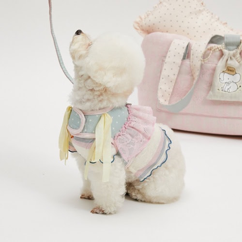 Louisdog Rosset Lace dog harness and matching leash in blue and pink