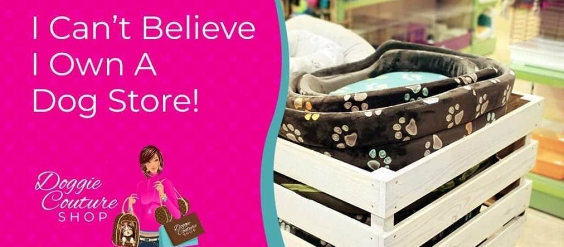 Dog bed with paw print design in a retail pet store specializing in stylish dog accessories and couture fashion. Perfect for fashionable small dogs and pet owners looking for high-quality dog products.
