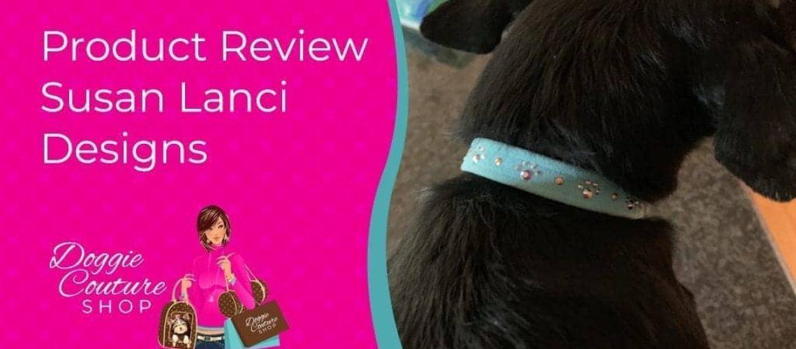 Paws With Fashion dog collar featuring stylish design and embellishments for fashionable pets.