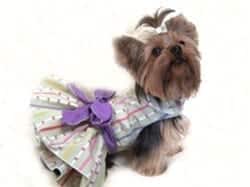 The Georgia Dress for Dogs-Size Small