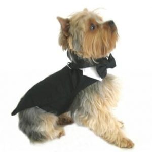 Dog tuxedo