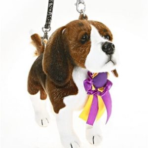 Beagle-Best-in-Show 'Uno'