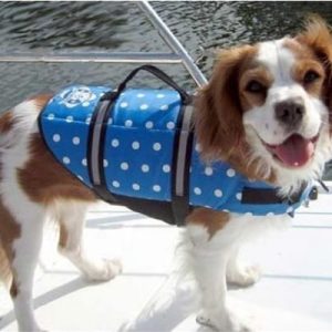 Blue Polka Dot Life Jacket