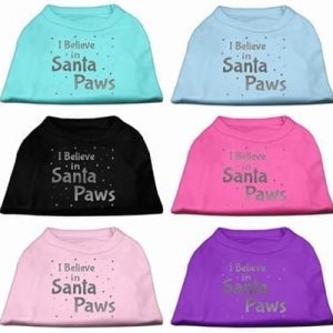 I Believe In Santa Paws Shirt