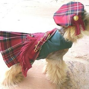 Royal Stewart Red Dog Kilt And Hat