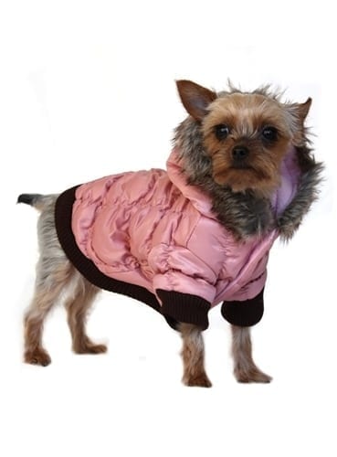 Stylish small dog wearing a pink puffer jacket, perfect for pet winter fashion and warmth.