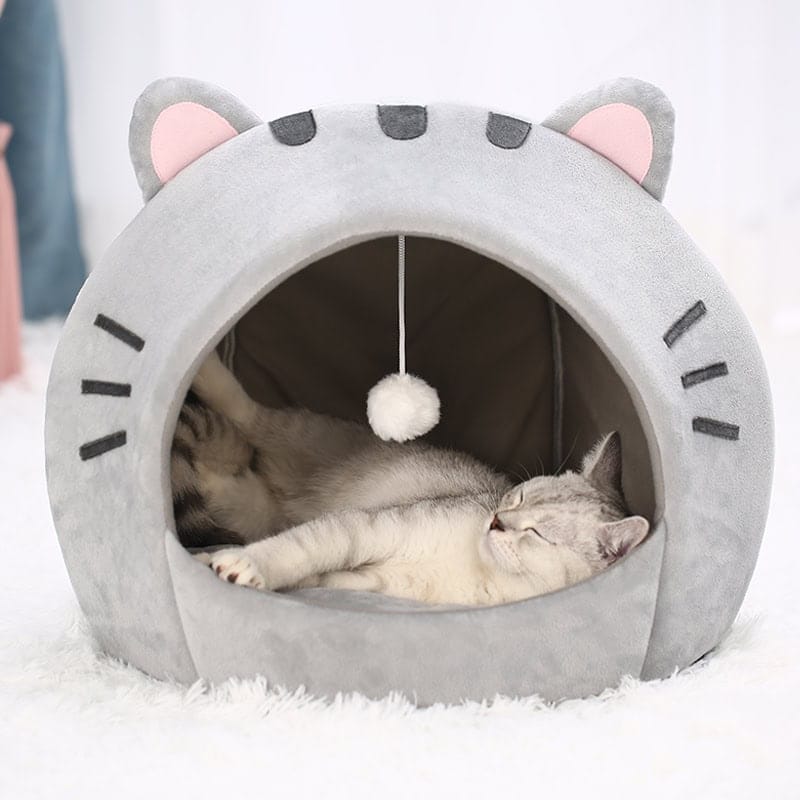 maison cocoon pour chat avec intérieur doux et jouet suspendu