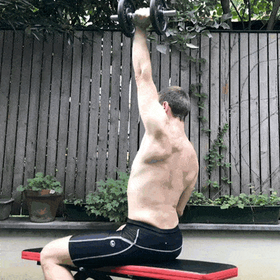Triceps Extension