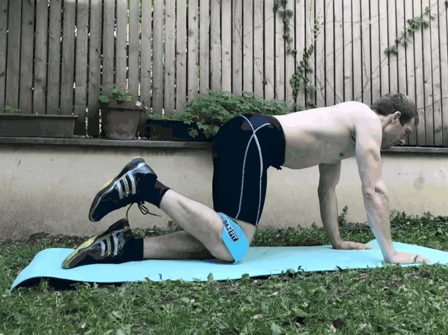 Donkey Kick-Back