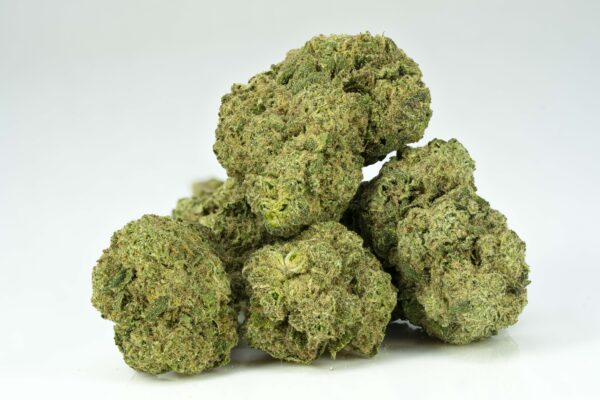 stacked Hibernator flower strain